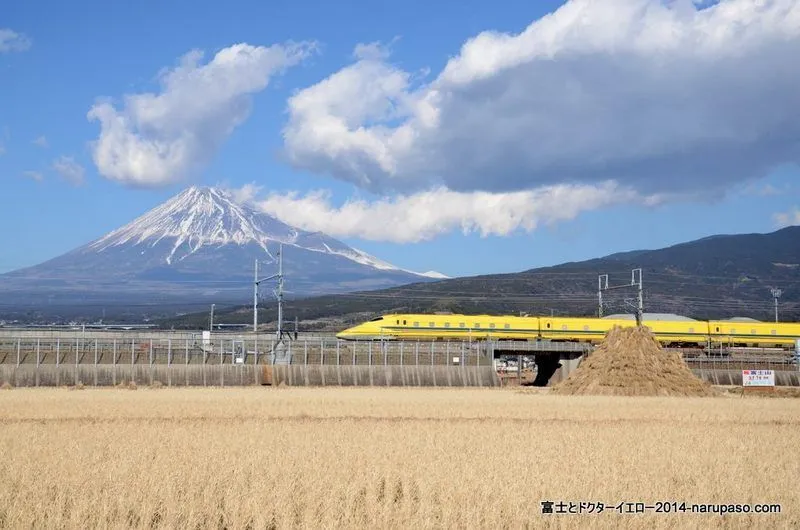 写真 4