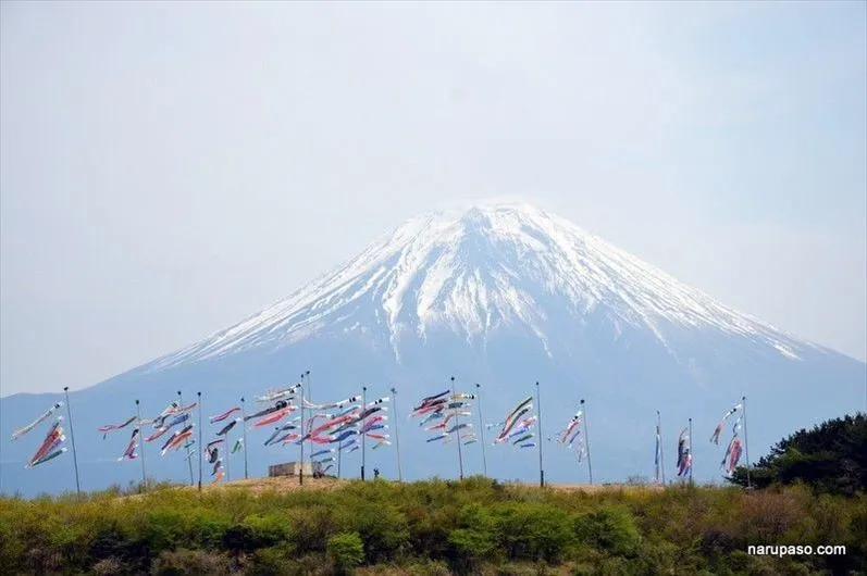 写真 5