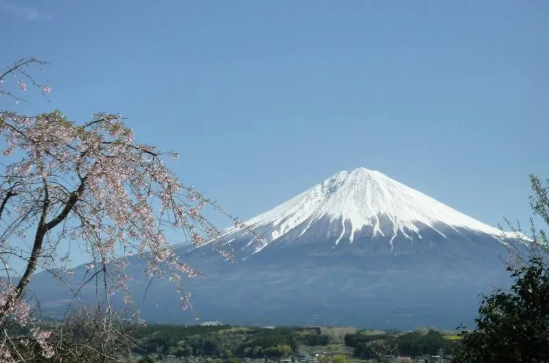 写真 6
