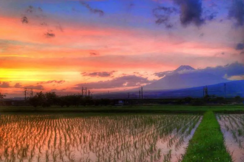 写真 20