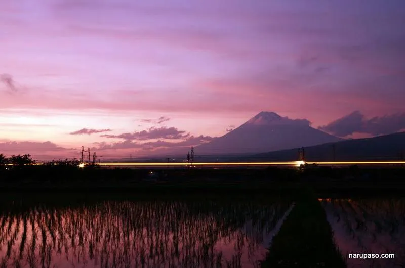 写真 21
