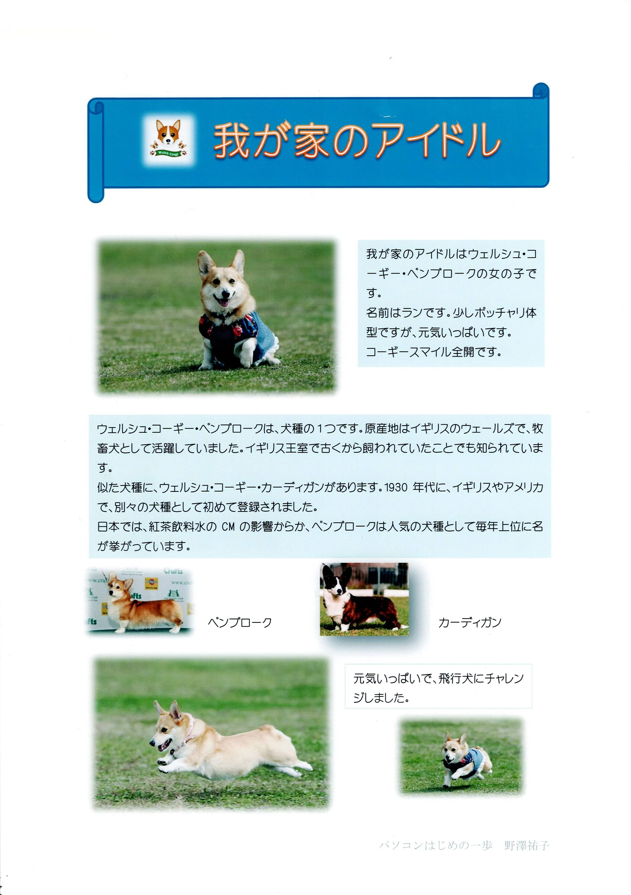 受講生の作品1